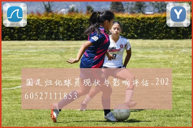 国足归化球员现状与影响评估_20260527111853